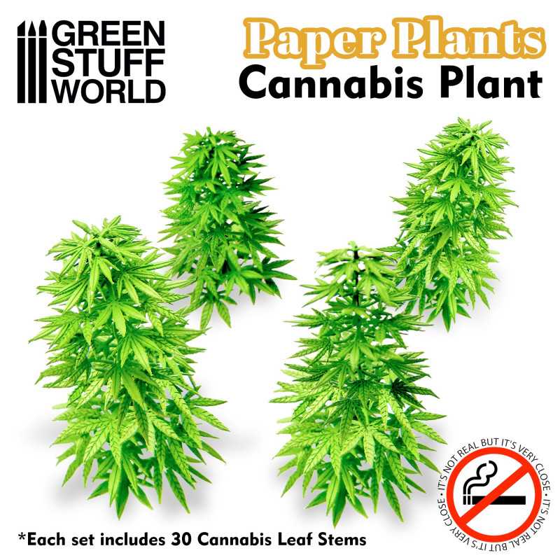 Plantes à Papier - Cannabis Plantes à Papier - Cannabis