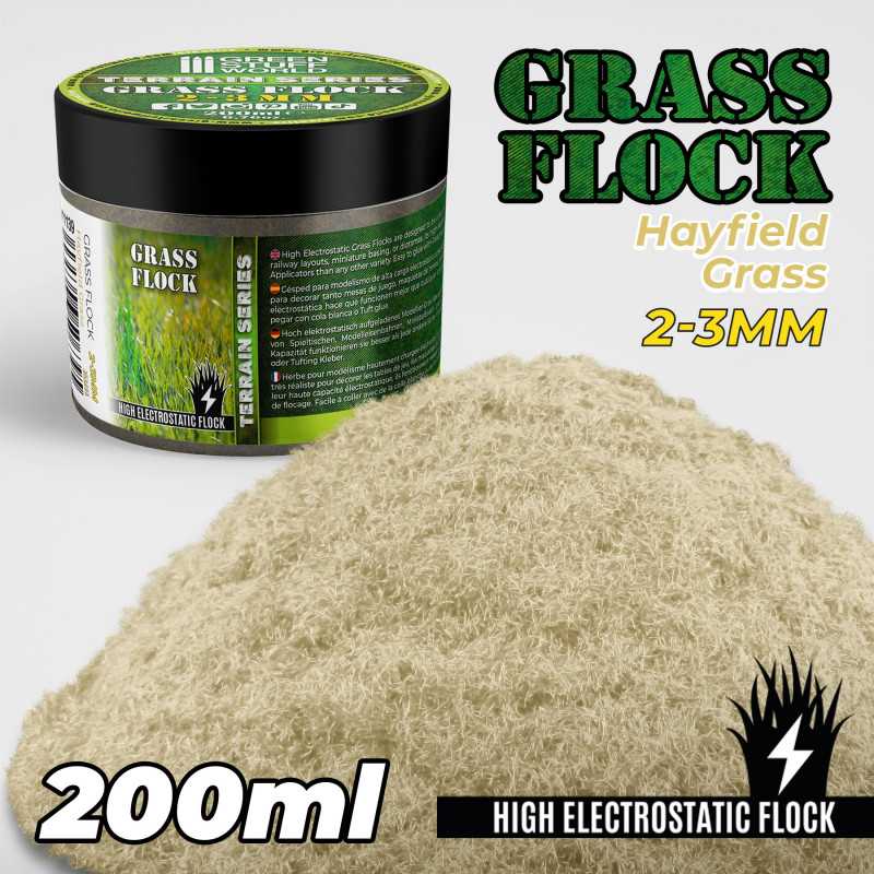 Herbe Statique 2-3mm- HAYFIELD GRASS - 200ml Herbe Statique 2-3mm- HAYFIELD GRASS - 200ml